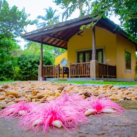 Birds Paradise Cabanas Унаватуна Экстерьер фото