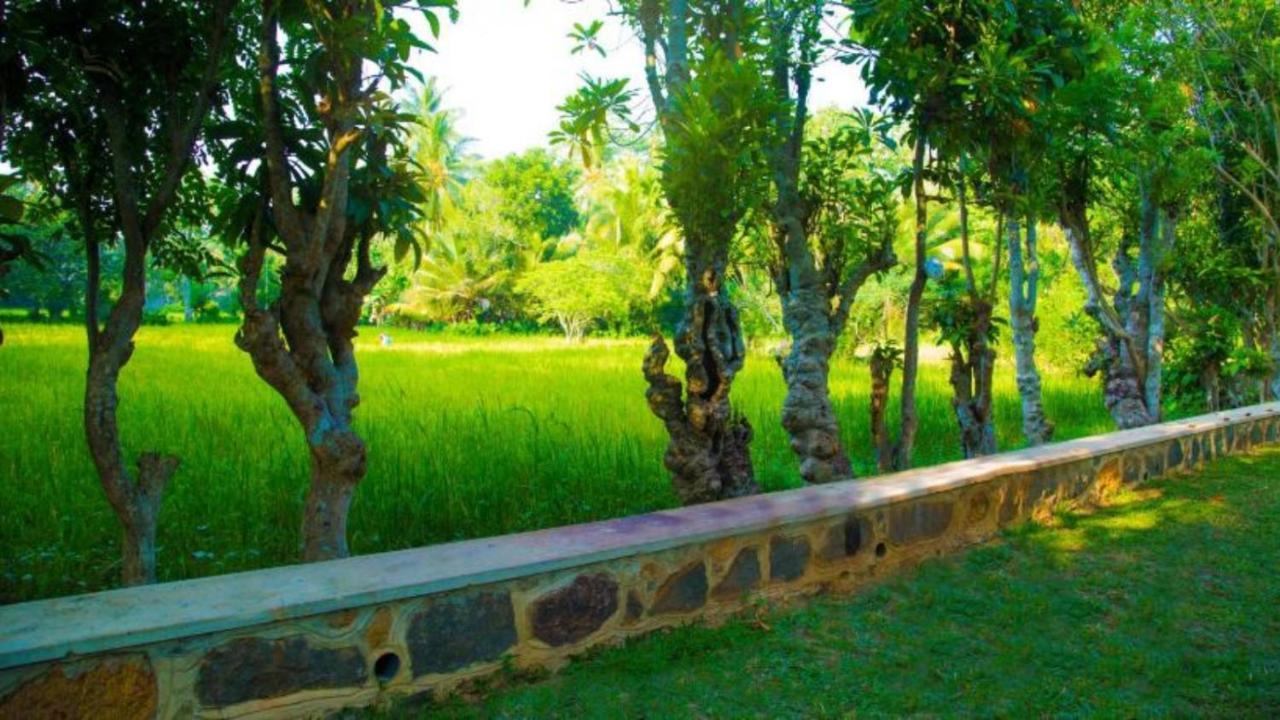 Birds Paradise Cabanas Унаватуна Экстерьер фото