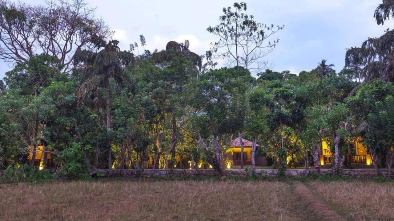 Birds Paradise Cabanas Унаватуна Экстерьер фото