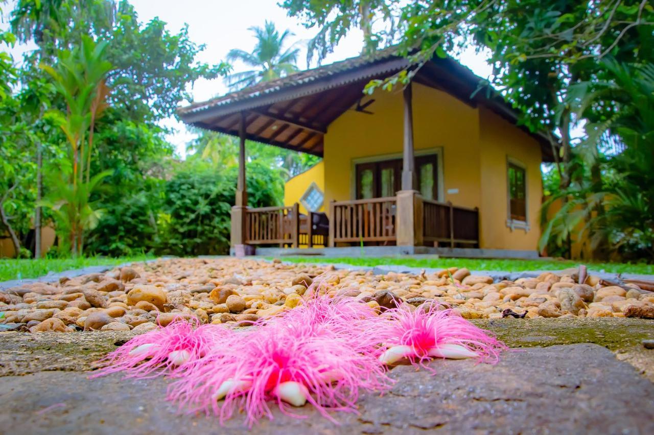 Birds Paradise Cabanas Унаватуна Экстерьер фото