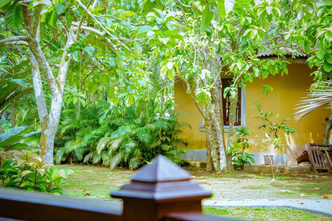 Birds Paradise Cabanas Унаватуна Экстерьер фото