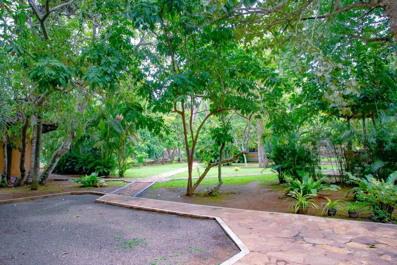 Birds Paradise Cabanas Унаватуна Экстерьер фото