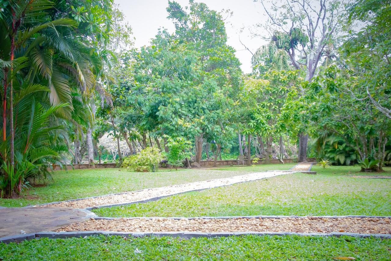 Birds Paradise Cabanas Унаватуна Экстерьер фото