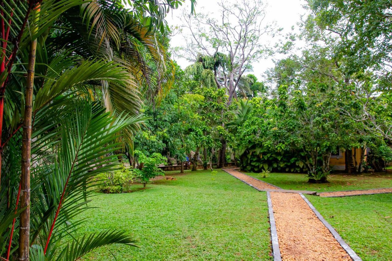Birds Paradise Cabanas Унаватуна Экстерьер фото